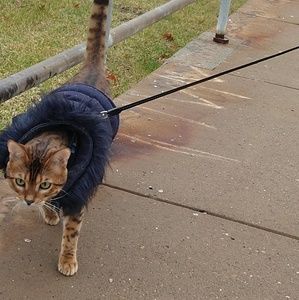 Meet your Posher, Jr